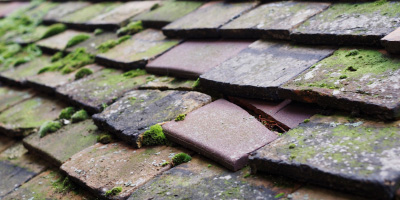 Brynamman roof repair costs